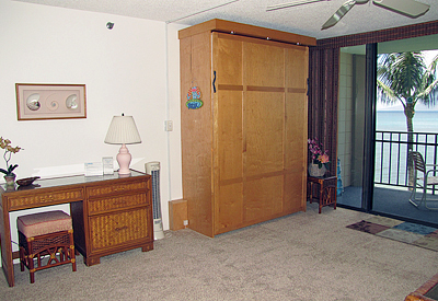View of Desk and Wallbed in Up Position